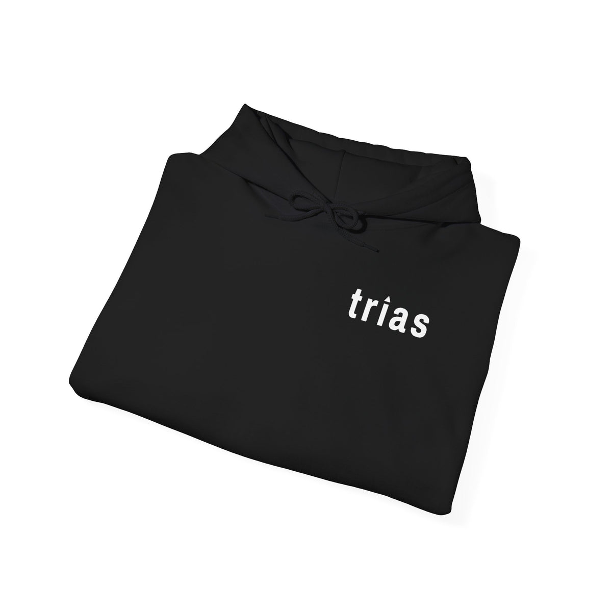 TRIAS Sleeve Print Hoodie – Sand – Back view