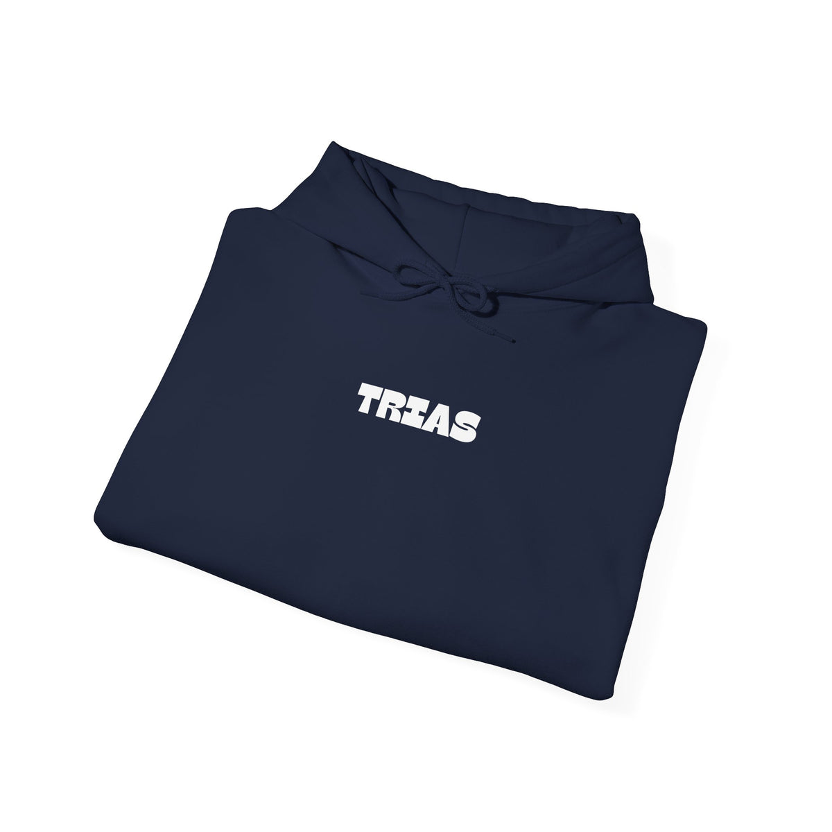 TRIAS Bold Back Graphic Hoodie – Navy – Detail view 2
