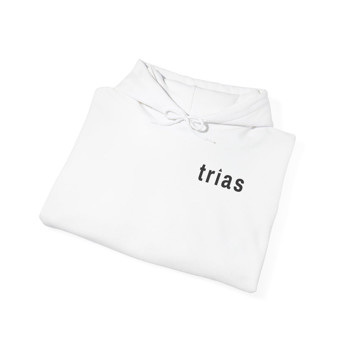 TRIAS Sleeve Print Hoodie – Light Blue – Back view