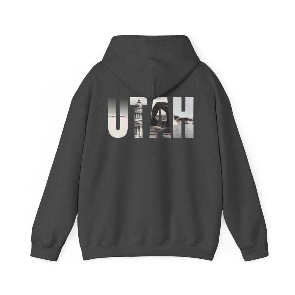 Utah Landscapes Hoodie – Dark Heather – Back view