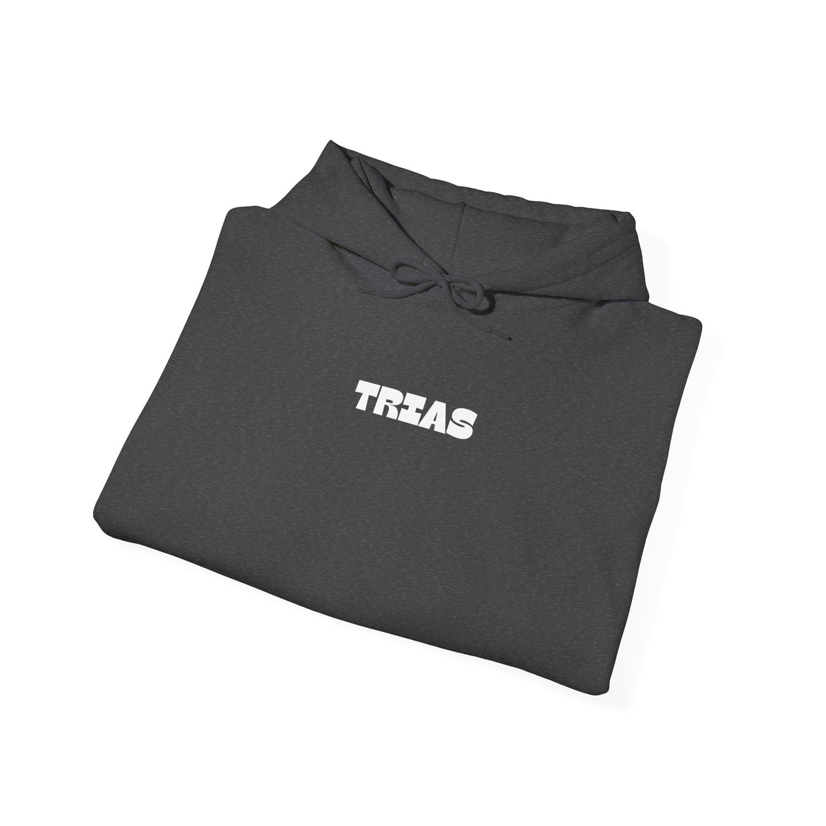 TRIAS Bold Back Graphic Hoodie – Dark Heather – Detail view 2
