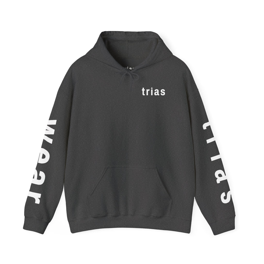 TRIAS Sleeve Print Hoodie – Dark Heather – Front view