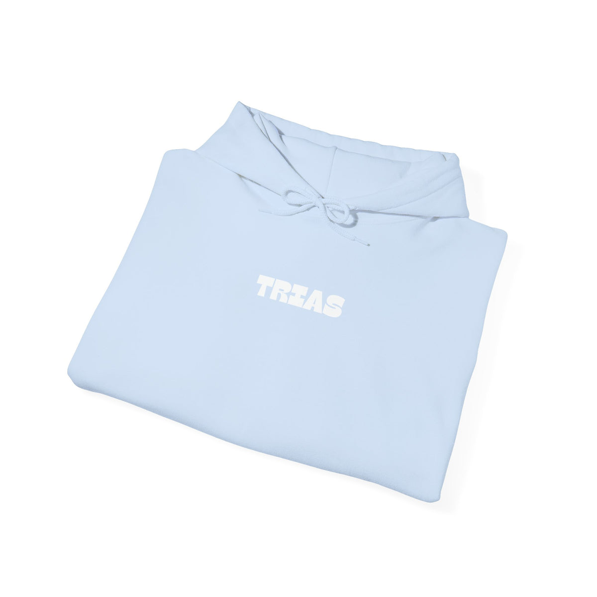 TRIAS Bold Back Graphic Hoodie – Light Blue – Detail view 2