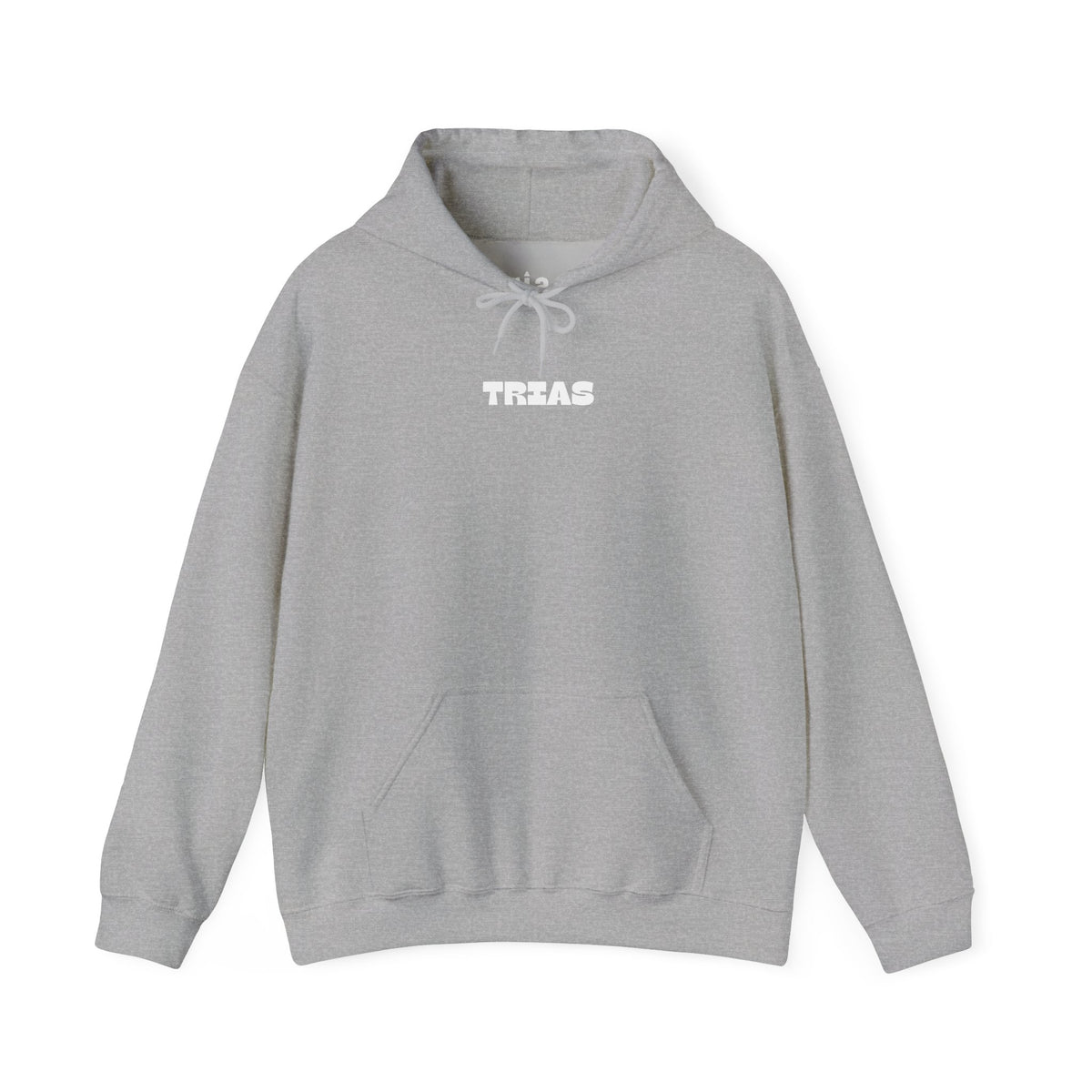 TRIAS Bold Back Graphic Hoodie – Sport Grey – Front view
