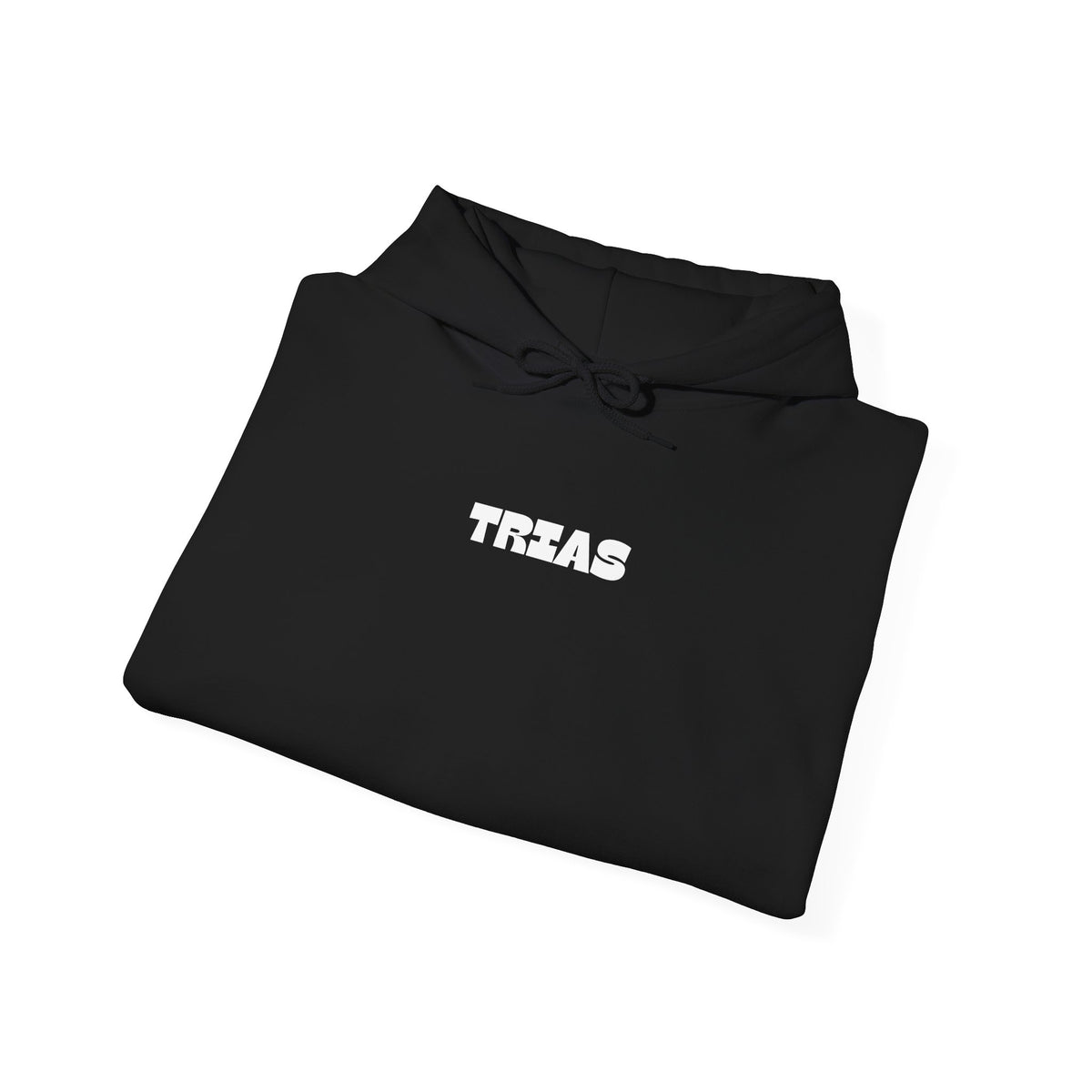 TRIAS Bold Back Graphic Hoodie – Black – Detail view 2