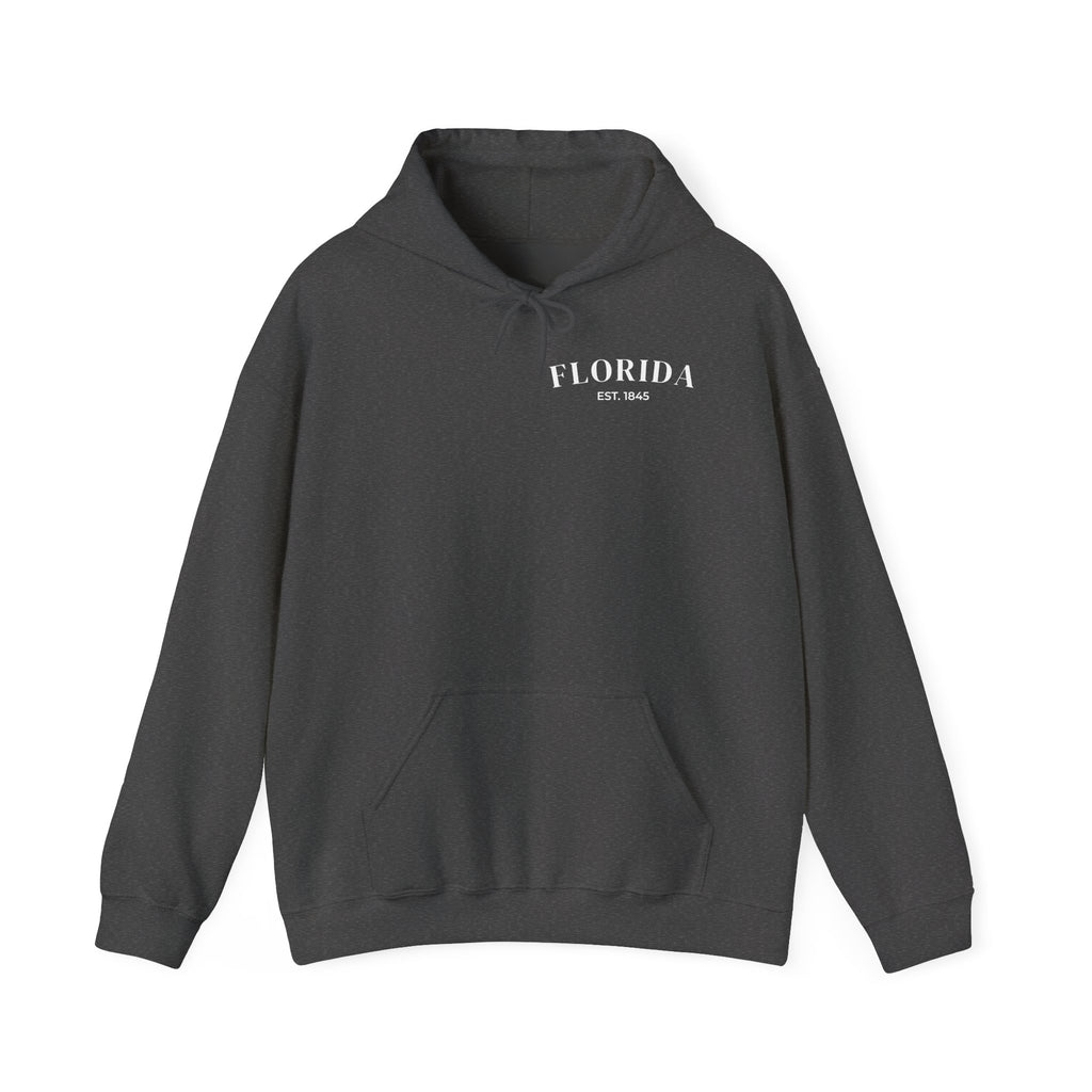 Miami Beach Sunset Hoodie – Dark Heather – Front view