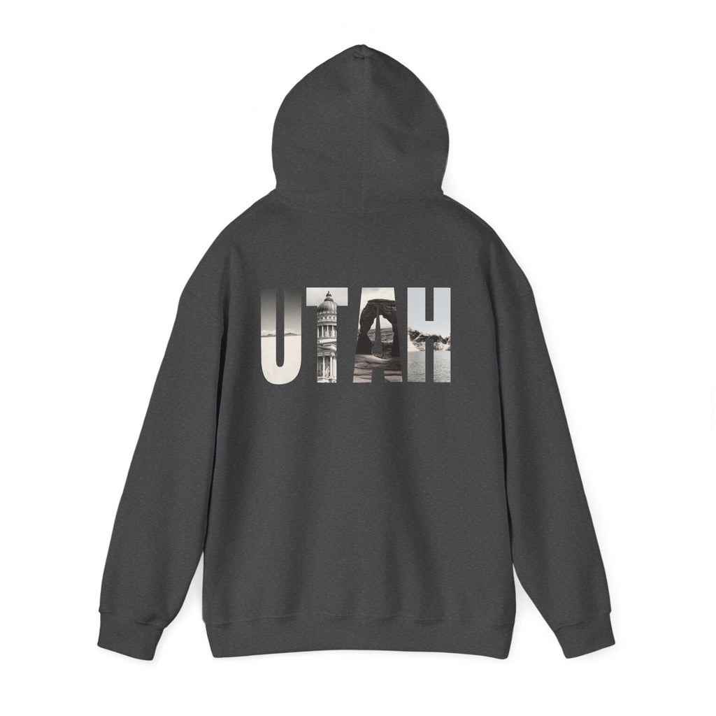 Utah Landscapes Hoodie – Dark Heather – Detail view 1