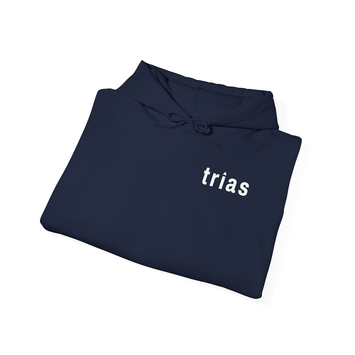 TRIAS Sleeve Print Hoodie – Light Blue – Detail view 2