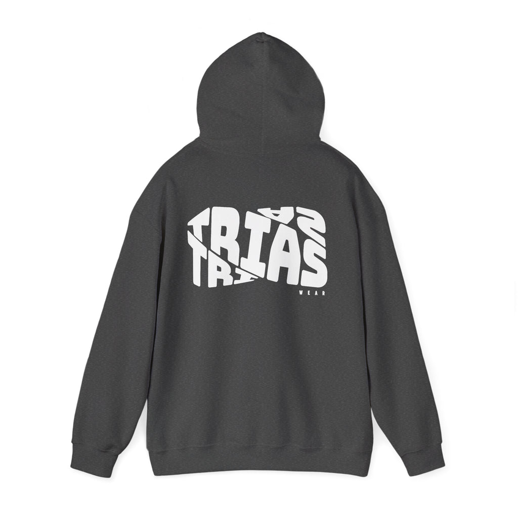 TRIAS Bold Back Graphic Hoodie – Dark Heather – Detail view 1