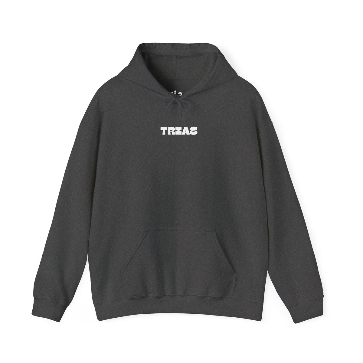 TRIAS Bold Back Graphic Hoodie – Dark Heather – Front view